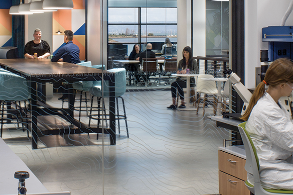 Co-working Fosters Cross-Industry Collaboration in Life Sciences