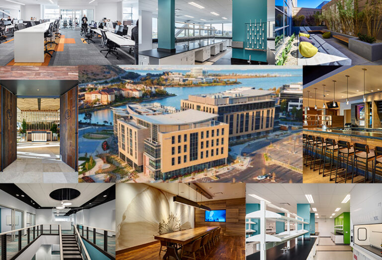 The Cove at Oyster Point, Phase I Wins Real Estate Deal of the Year Award